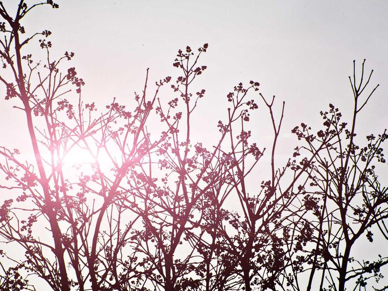 sudoku daily practice screenshot 5